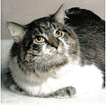 Andy, our mascot (click for bigger photo)